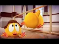 Lagu Chicky in Versailles | Where's Chicky? | Cartoon Collection in English for Kids | New episodes