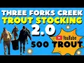 Trout Stocking Three Forks Creek WV