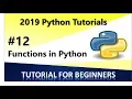 2019 Python Programming Tutorial 12 - Functions