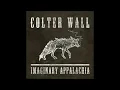 Colter Wall - Living on the Sand (Audio)