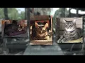 Palm Beach County rescue loses 3 special needs cats in fire sparked by lithium-ion battery