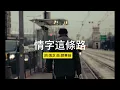 情字這條路(The way of love) 潘越雲 Michelle Pan:老虎愛唱歌(虎歌)(Singing Tiger) |潘越雲|鳳飛飛|黃乙玲|曹雅雯|