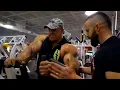 PROVE THEM WRONG - THE ULTIMATE GYM MOTIVATION