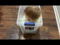 Amazing Storage Bins That Can Double as A Toy