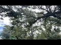 S Hendry Avenue Perry FL Presented by Abbi Cope