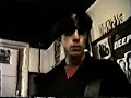 Hedonics, Templet 1995