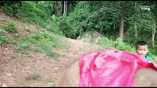 Baby Elephant Junior Begs Big Brother Bob to Play! So Cute It Hurts - Thai Elephant Story