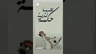 هاكونا ماتاتا    اول مرة اعرف انها بتتقال كده دندنها