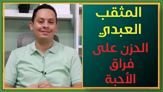 أفاطم قبل بينك متعيني المثقب العبدي شرح ومعاني الكلمات 2 فراق الأحبة والحزن 