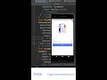 Flutter - Build Toggle Show Hide Password Field