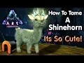 ARK - ARK HOW TO TAME A SHINEHORN on Aberration