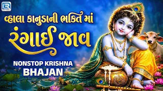 Non Stop Kanuda Bhajan | વ્હાલા કાનુડાની ભક્તિ માં રંગાઈ જાવ | Janmashtami Special 2026