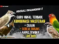 Download Lagu NGERIII..!!!KOMBINASI MASTERAN CILILIN, GEREJA TARUNG, KAPAS TEMBAK, DAN LOVEBIRD !!