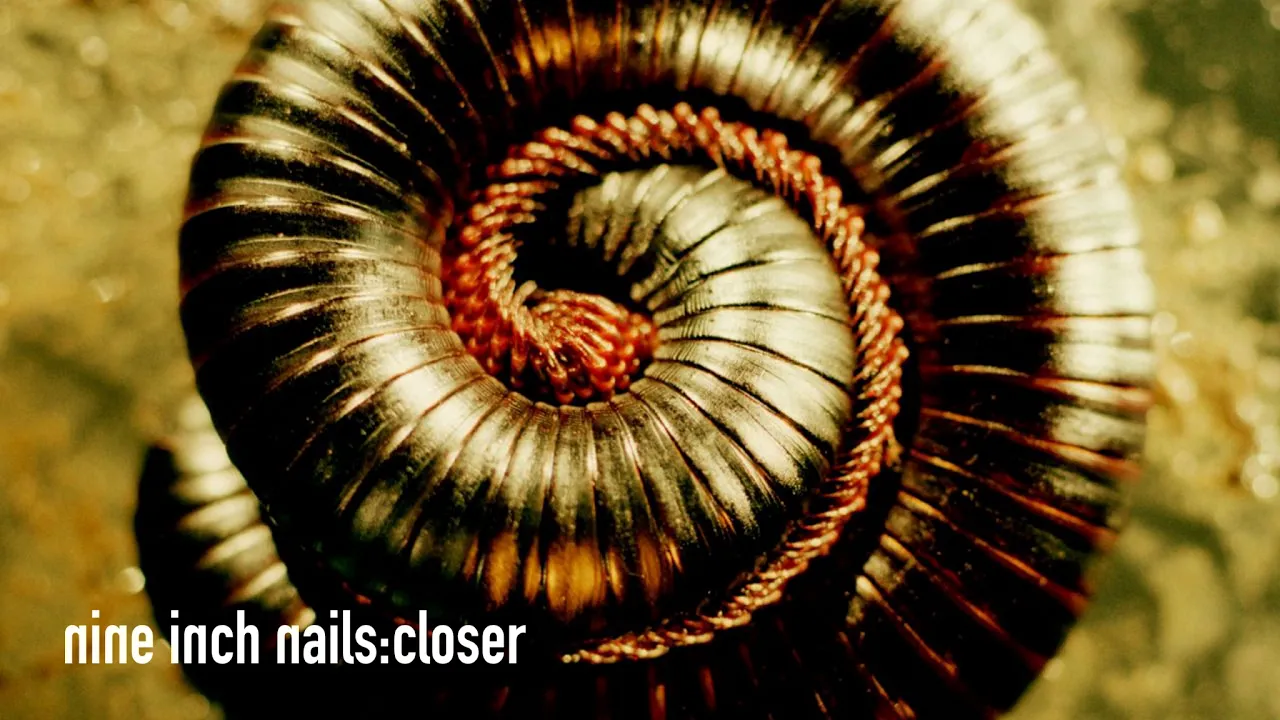 Nine Inch Nails - Closer (instrumental)