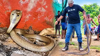 Cobra Ke Saath Mile 2 Red Snakes! Aisa Nazara Pehli Baar Dekha 😱