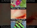 Michael Logozar*s👁 *Time Lapse*❤️‍🔥💤Restful😴Visualizer🔥 By❤️‍🔥Trinity💫Anxiety Relief Music