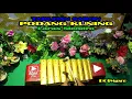 Download Lagu TABUHAN SARON Laras Slendro PODANG KUNING