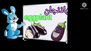 خضروات Vegetables  خضروات Vegetables