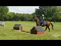 Luci and Hot Shot XC Schooling