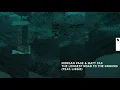 Morgan Page & Matt Fax feat. Lissie - The Longest Road To The Ground