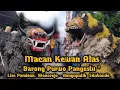 Download Lagu Macan Kewan Alas | Barong Purwo pangestu live Pantai Pandean, Wonorejo, Banyuputih -  Situbondo