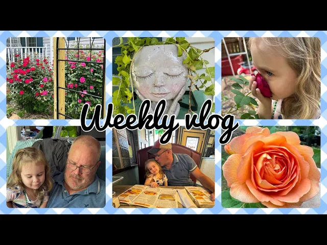 Download MP3 Weekly vlog, busy week and front yard garden tour.