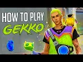 How to Play GEKKO Advanced Gekko Tutorial
