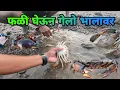 Mud CRAB Catching video | आज गेलो भाळावर खरपी चिंबोरी शोधाला | Indian Crab FISHING | Chimbori 