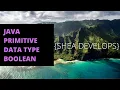 Beginner Java Tutorial on Boolean Primitive Data Type