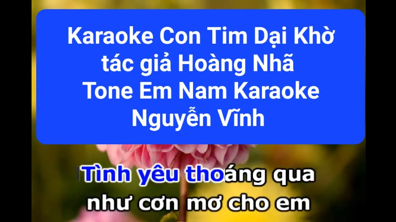 Karaoke Con Tim Dại Khờ Tác giả: Hoàng Nhã Tone Em Nam Karaoke Nguyễn Vĩnh