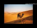 Adem & Murat ft. Megan Kashat - Dripping (Original Mix)