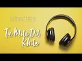Tu Mile Dil Khile | Criminal | MM Keeravani | Kumar Sanu | Alka Yagnik | Hindi HQ | Remastered