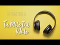 Download Lagu Tu Mile Dil Khile | Criminal | MM Keeravani | Kumar Sanu | Alka Yagnik | Hindi HQ | Remastered