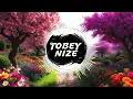 CÉLINE - Tränen aus Kajal (TOBEY NIZE REMIX)