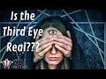Is the Pineal Gland REALLY the Third Eye Pineal Gland Anatomy