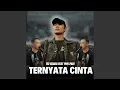 Download Lagu Ternyata Cinta (feat. Piyu Padi)