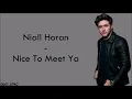 Niall Horan - Nice To Meet Ya (lyrics)