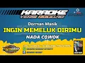 Lagu KARAOKE. INGIN MEMELUK DIRIMU - VERSI REGGAE - Dorman Manik  / NADA COWOK.