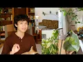 Cool Alternatives to Popular Houseplants This not That