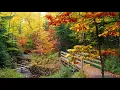 Download Lagu The Autumn Leaves By Nat King Cole