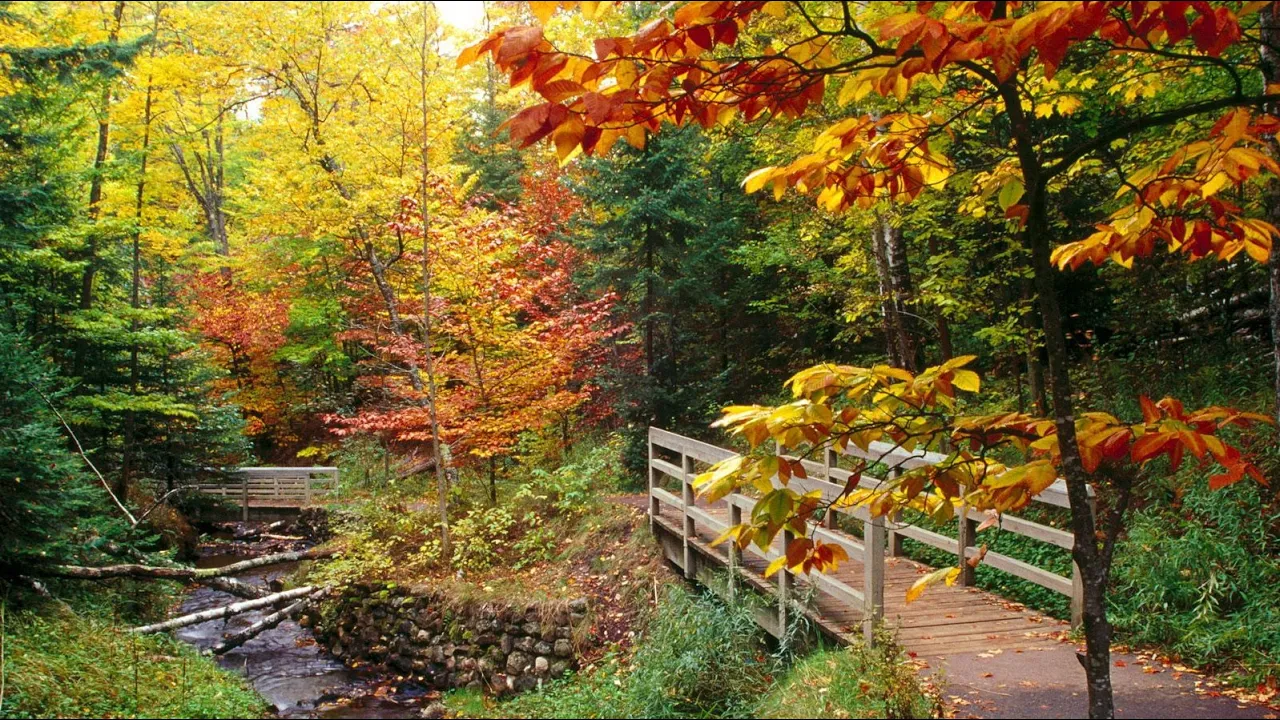 The Autumn Leaves By Nat King Cole The Autumn Leaves By Nat King Cole