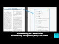 Understanding the Unstructured Named Entity Recognition NER Enrichment