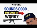 Wyoming s Gun Rights Bill Sounds Great But