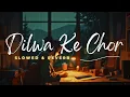 Download Lagu Dilwa Ke Chor || SLOWED \u0026 REVERB || Bhojpuri || Swati Mishra || FEMALE VERSION ||