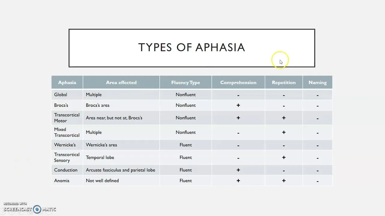 Types of aphasia