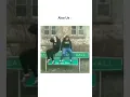Download Lagu Friendship Goals😂 #ytshorts #shorts #short #viral #trending #memes #funny #comedy #friends #lol #op