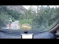 Large Dark Creature Runs to Hide in Sasquatch Canyon