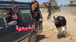 باعو الحولية🐄| اول يوم العيد الاضحى في القرية😱