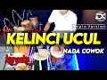 Download Lagu TEMBANG KELINCI UCUL KARAOKE VERSI KOPLO FULL GLERR 1080pFH