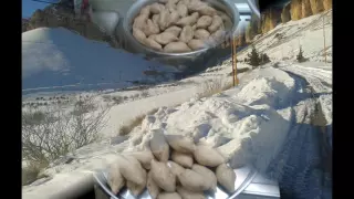 وليد رضية ماني يايما الماني ليش الماني زعلانة 